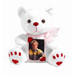 photo favor stuffed teddy bear