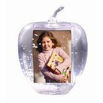 photo favor snow globe apple