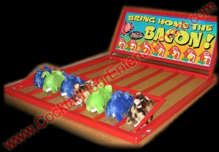 pig race carnival game